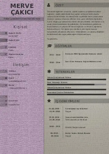 Laboratuvar Teknisyeni Cv Örnekleri cv indir